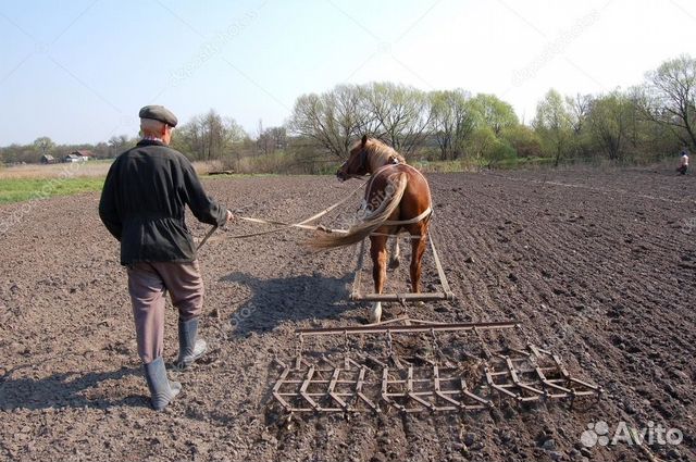 Плуг,распашка,сбруя и возок для лошади купить на Зозу.ру - фотография № 1