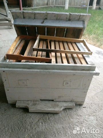 Ящики для пчел с рамками купить на Зозу.ру - фотография № 2