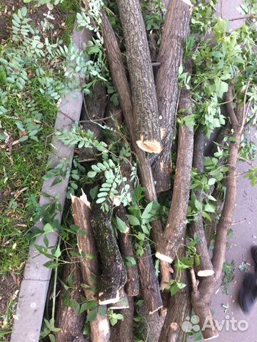 Дрова Бесплатно