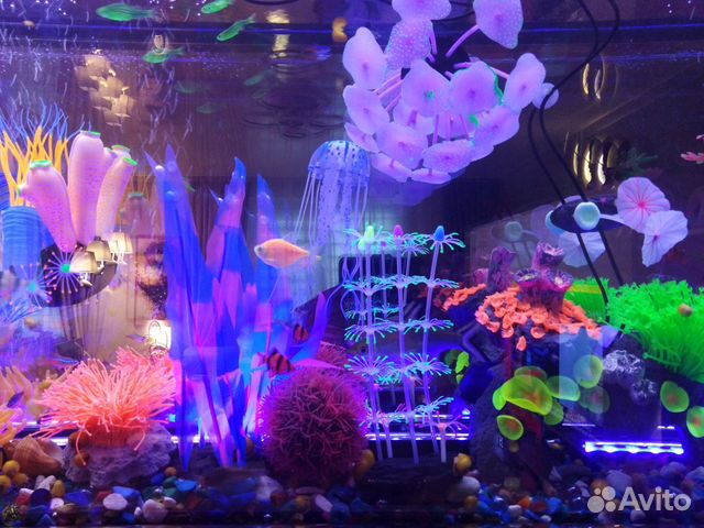 Настенный аквариум Himat 265х60х15 см купить на Зозу.ру - фотография № 8