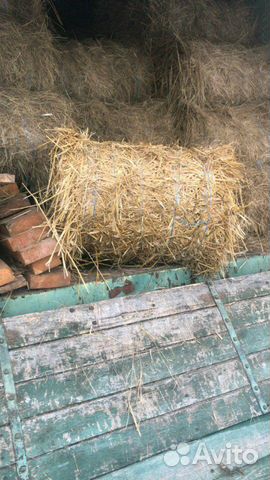 Солома,пшеничная купить на Зозу.ру - фотография № 2