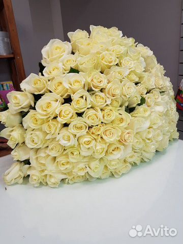 101 роза цветы 101 роза цветы