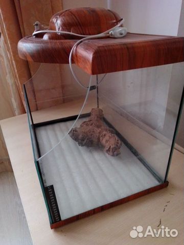 Черепашатник террариум аквариум Гесса (54см на 35