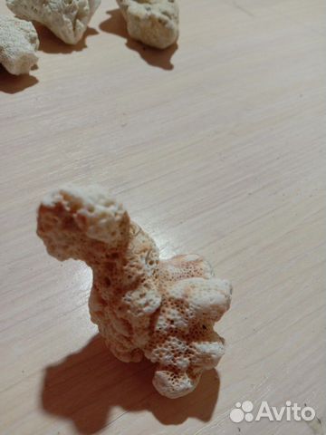 Декор для аквариума,кораллы,ракушки Декор для аквариума,кораллы,ракушки