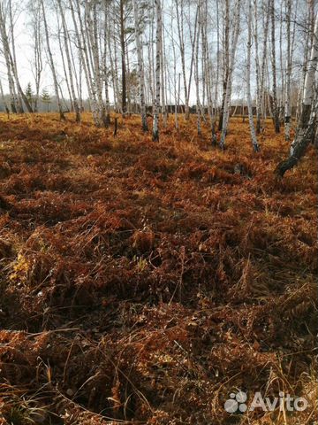 Участок 8 сот. (ИЖС)