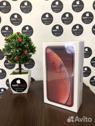 iPhone XR