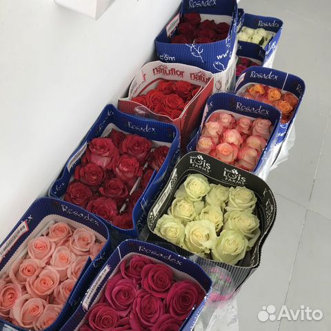 Цветы оптом Букеты Розы Пионы
