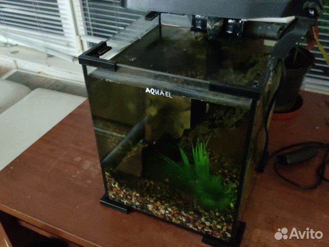 Оборудование для аквариума