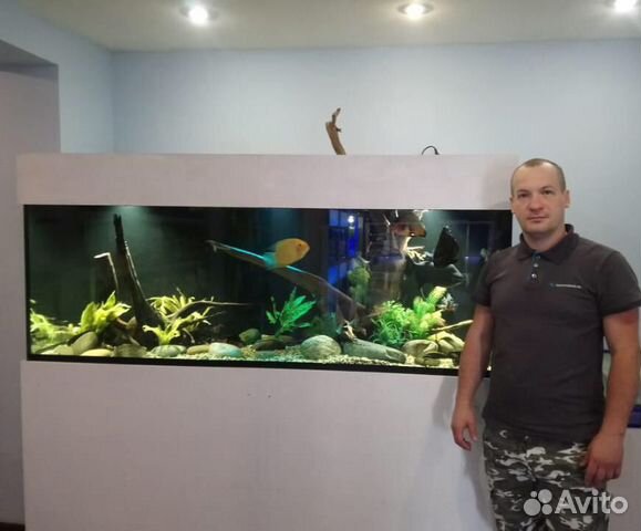 Обслуживание (чистка) аквариумов