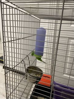 Клетка для грызунов + еда (новая упаковка)