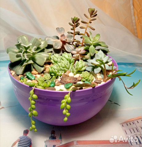 Садики из цветов на заказ