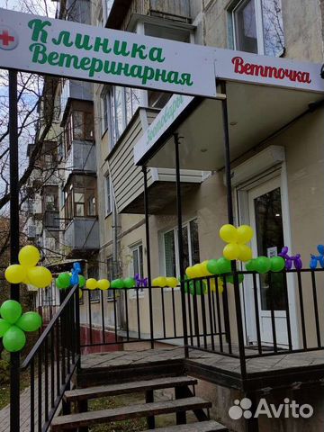 Лечение животных
