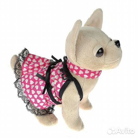 Чичилав Собачка