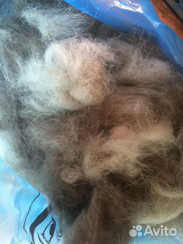 Шерсть (пух)собачья(Хаски)