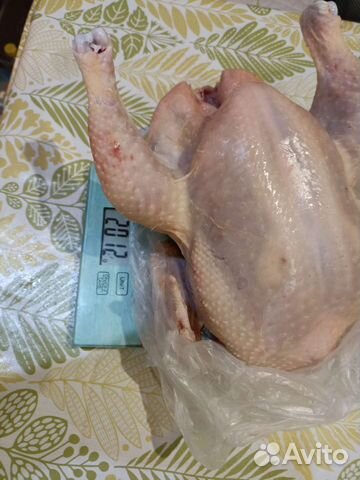 Мясо цыплёнка бройлера