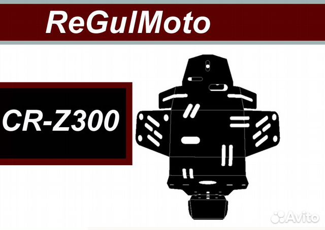 Защита двигателя на ReGulMoto CR-Z300
