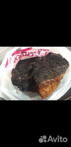 Чага берёзовая свежий сбор