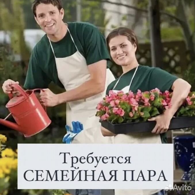 Уборщица вахтерша 1000 рублей. Семейная пара в загородный дом с проживанием. Требуется семейная. Работа вахтой. Работа семейная пара от прямых работодателей.