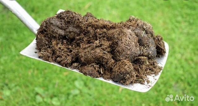 Конский навоз и перегной в мешках