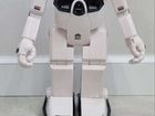 Робот maxibot CX386