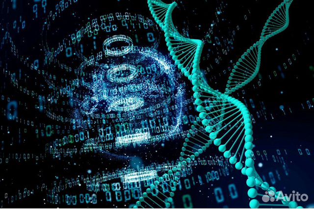 Интерпретация результатов днк теста