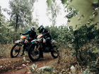 Поездки в лес на квадроциклах и мотоциклах