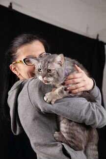 Котоняня, уход за животными