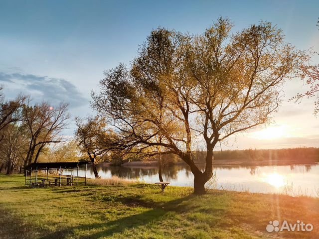 Турбаза на Дону