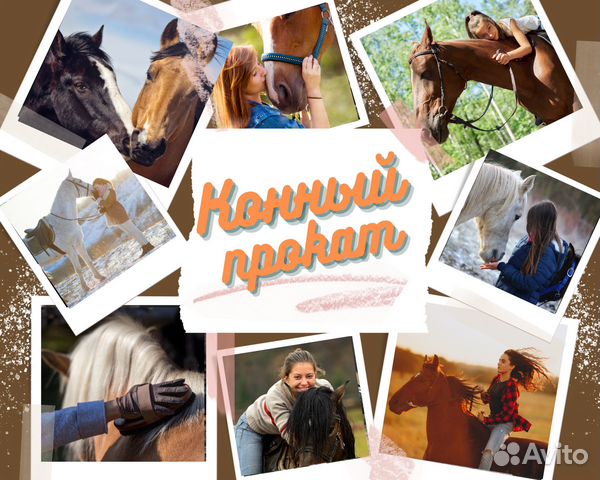 Конный прокат