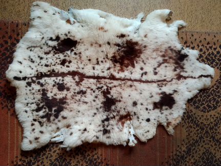 Шкуры овечьи