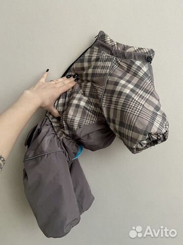 Одежда для собак