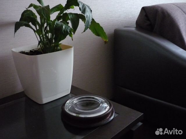 Пепельница Kangaroo Италия