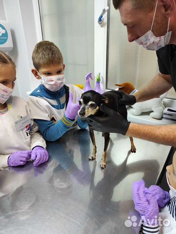 Экскурсия интерактивная для детей