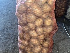 Картофель гала розара оптом от 2-Х тонн