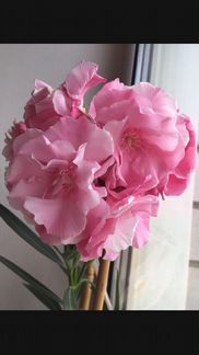 Цветы Олеандра розов/белый/красн. Антуриум красный