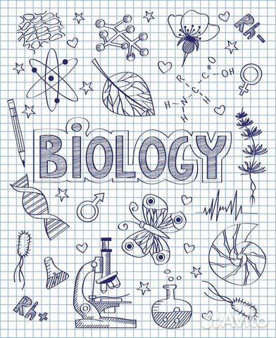Репетитор по биологии егэ, огэ.Разбор тем