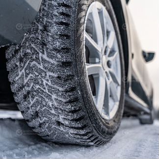 Nokian Nordman 8 SUV 225/55 R18 102T