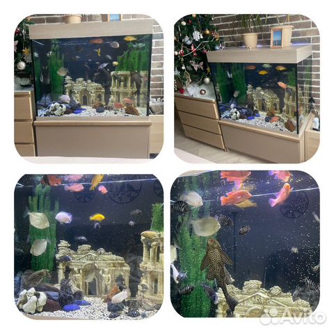 Аквариум с тумбой 500 л. и внешний фильтр