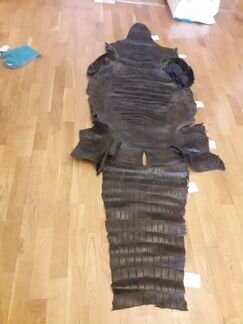 Шкура большого крокодила