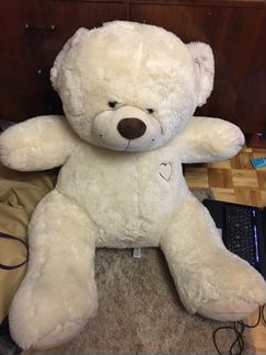 Медведи: белый и коричневый