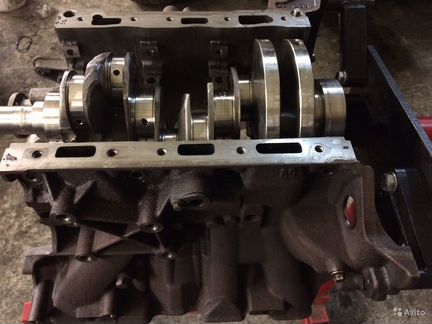 Шорт Блок D27DT Дискавери