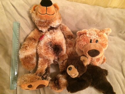 Плюшевые мишки