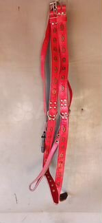 Ошейник Шлейка Поводок Намордник для крупных собак