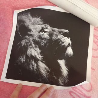 Новые картины на холсте без рамки