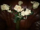 Искусственные розы, Тюльпаны