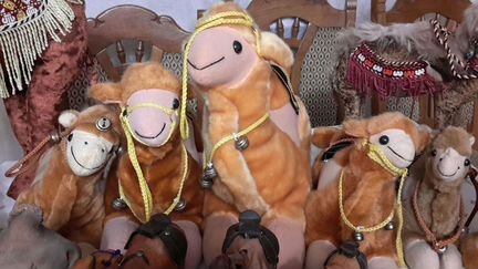 Колекцию верблюдов