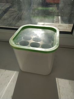 Аэросад здоровья клад