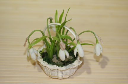 Подснежники
