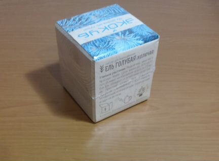 Новый Экокуб Ель Голубая