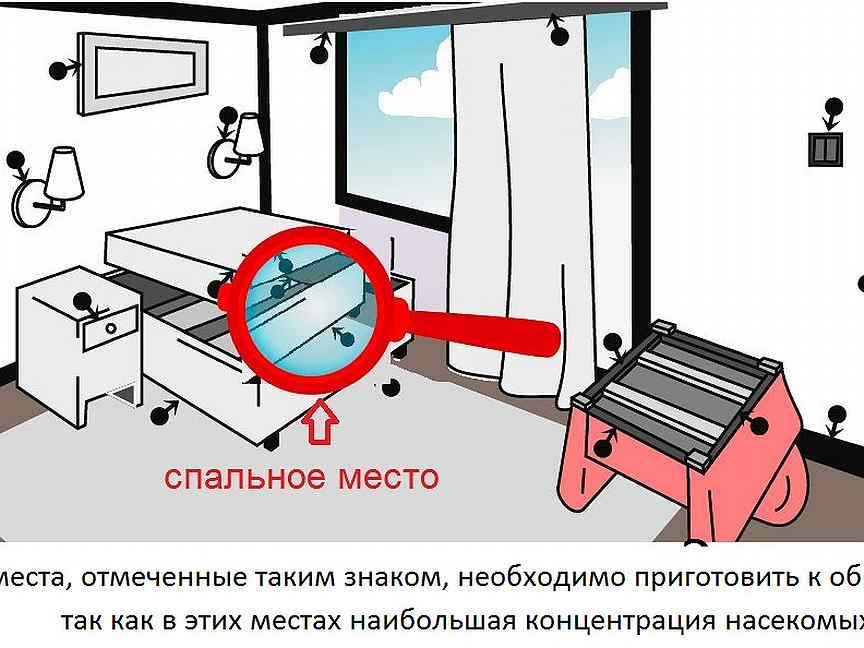 Как подготовить квартиру к дезинсекции от тараканов в комнатах